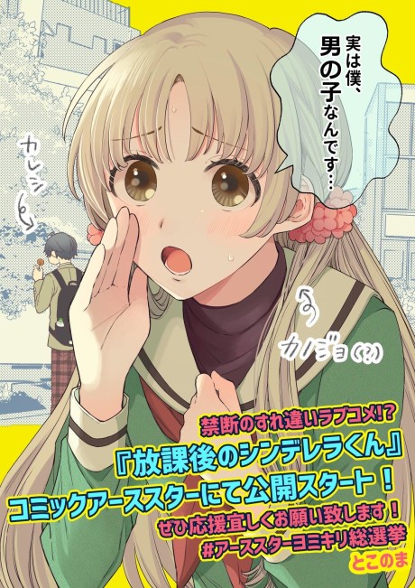 couverture du Manga Afterschool Cinderella