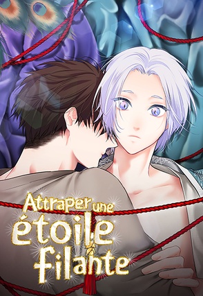 Attraper une &eacute;toile filante