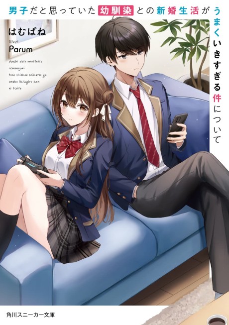 couverture du Manga Danshi Dato Omotteita Osananajimi Tono Shinkon Seikatsu Ga Umaku Ikisugiru Ken Ni Tsuite