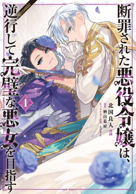 couverture du Manga Danzai Sareta Akuyaku Reijou Wa, Gyakkou Shite Kanpeki Na Akujo Wo Mezasu