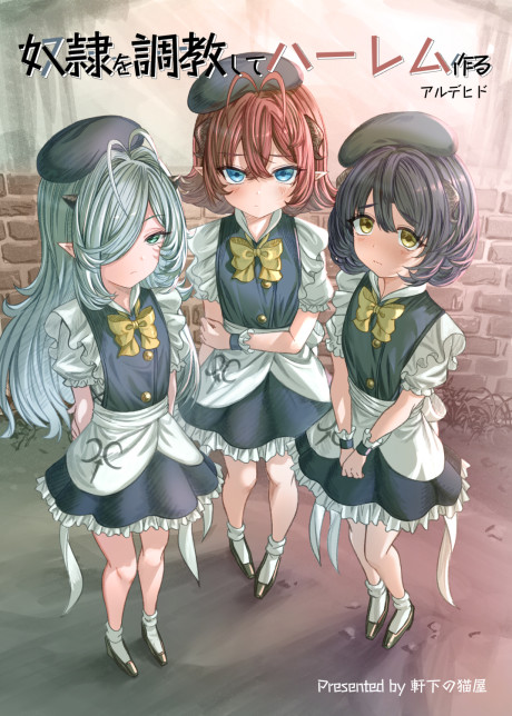 Dorei Wo Choukyoushite Harem Tsukuru