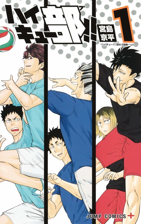 couverture du Manga Haikyuu