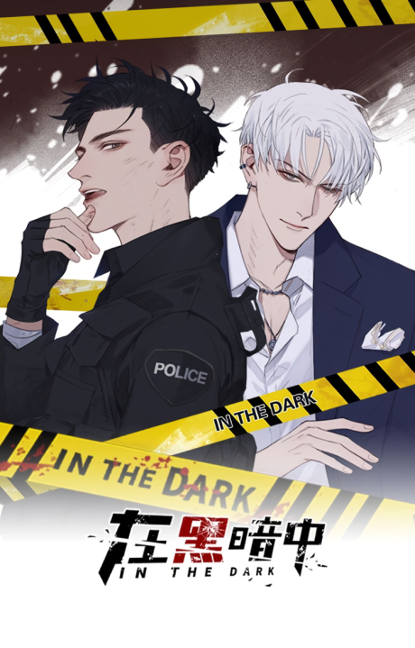 couverture du Manga In The Dark