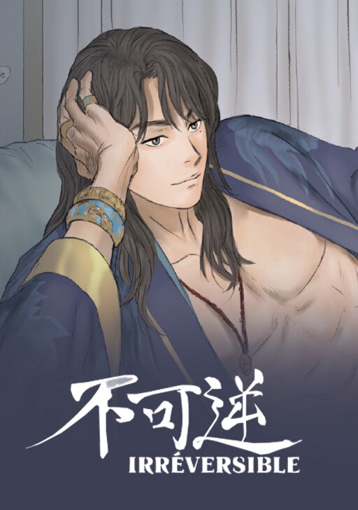couverture du Manhwa Irr&eacute;versible - Version JA