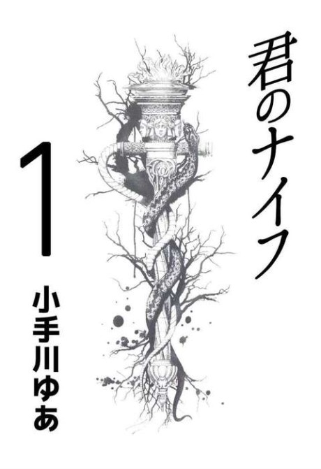 couverture du Manga Kimi No Knife