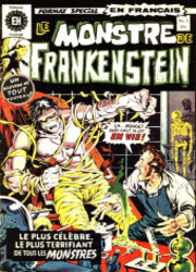 couverture du Bande Dessinée Le Monstre De Frankenstein (Éditions Héritage)