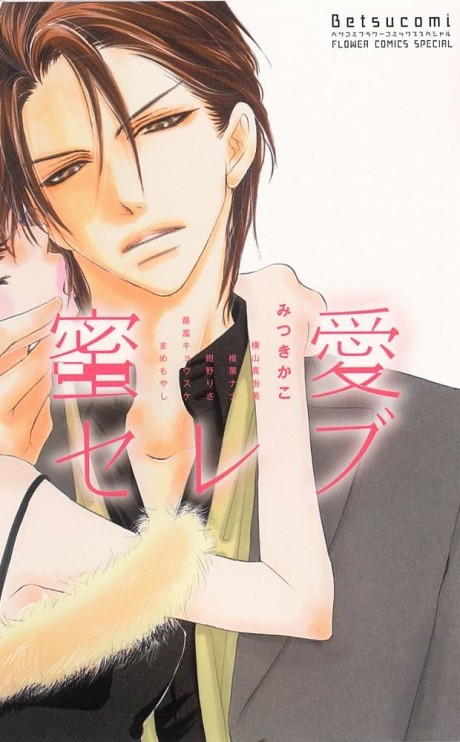 couverture du Manga Mitsuai Celeb