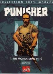 Punisher (100% Marvel - 2000)