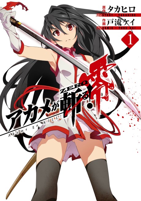 couverture du Manga Red Eyes Sword - Akame Ga Kill ! Zero