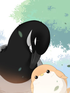couverture du Manhua Southern Bird And Northern Bird