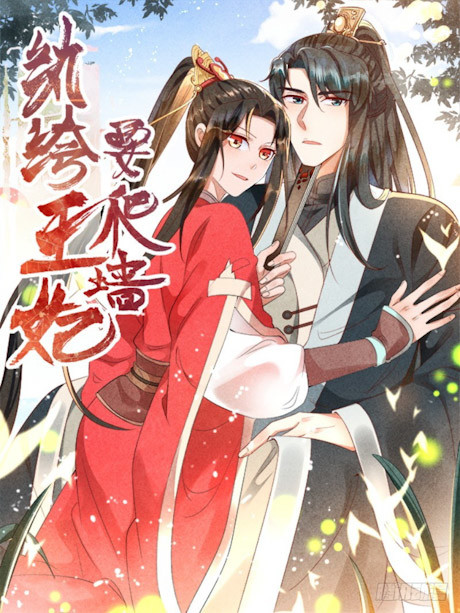 couverture du Manhua The Flirtatious Princess Consort