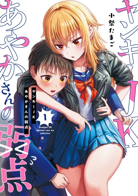 couverture du Manga The Many Weaknesses Of Ayaka The Yankee JK