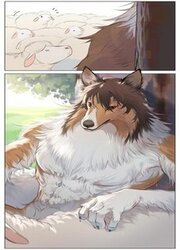 couverture du Manhua The New Shepherd Dog