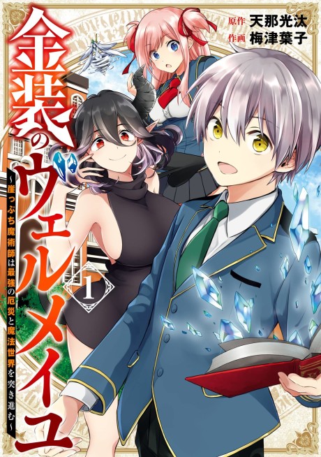 couverture du Manga Vermeil In Gold: A Desperate Magician Barges Into The Magical World Alongside The Strongest Calamity