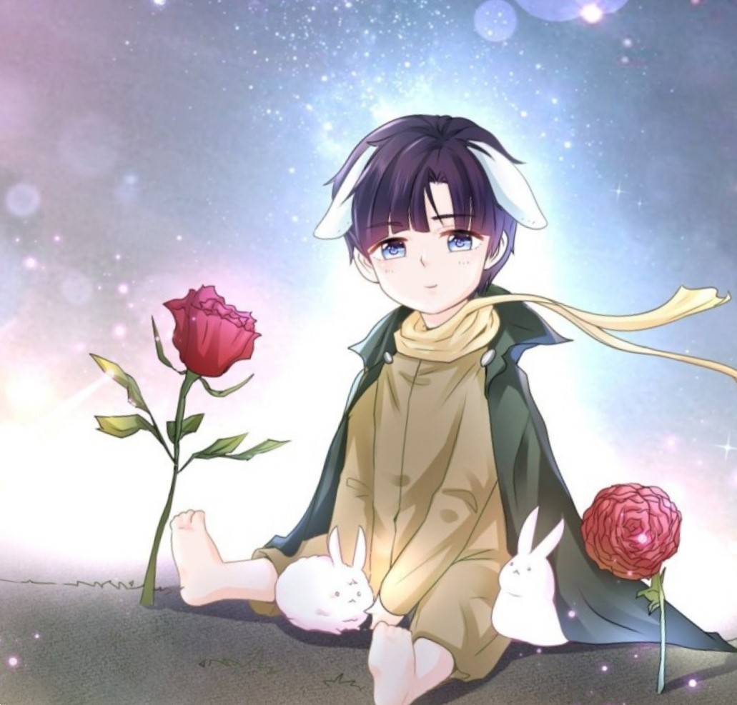 Photo de profil de deps rose