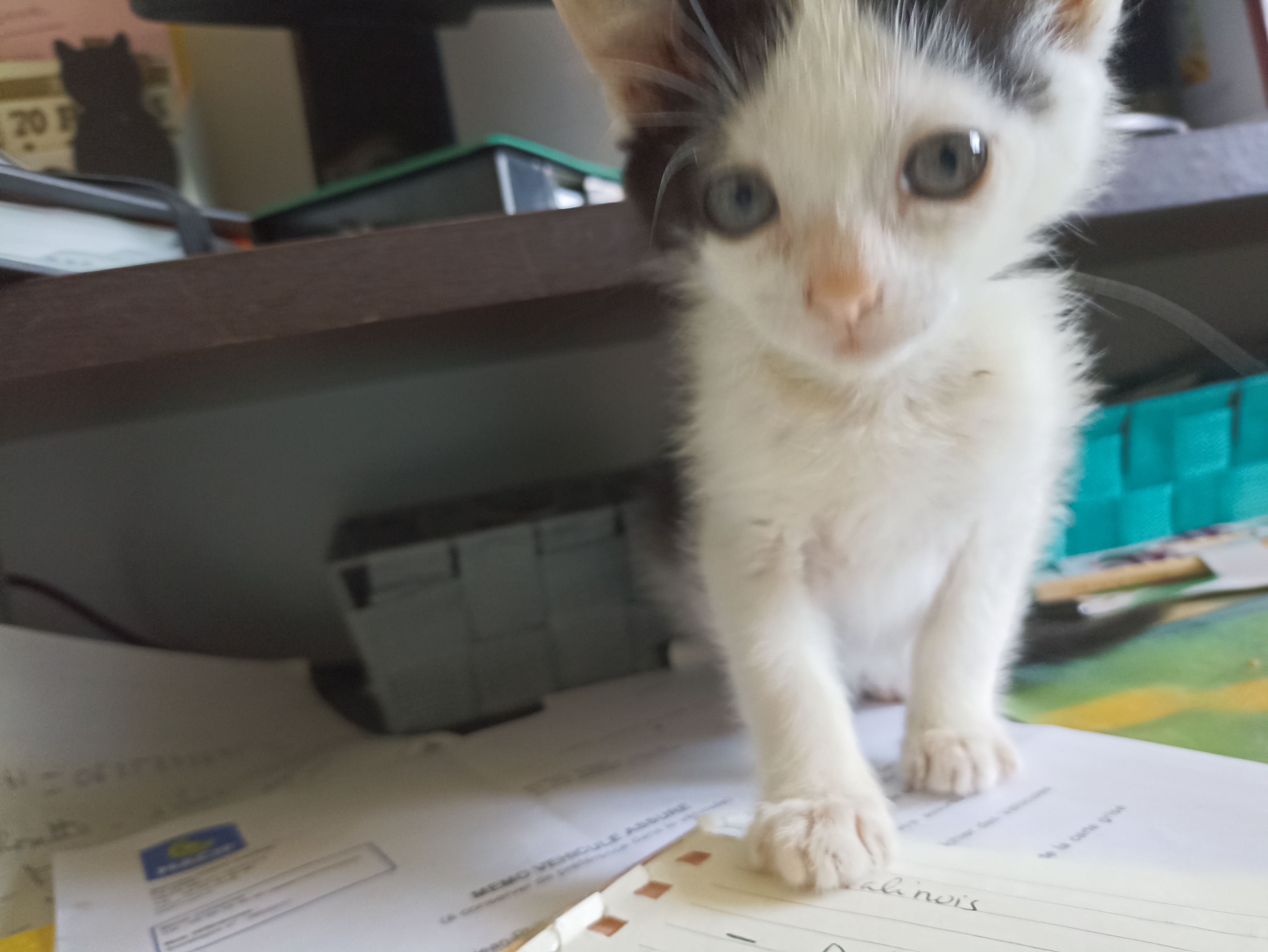 Photo de profil de DoroT02