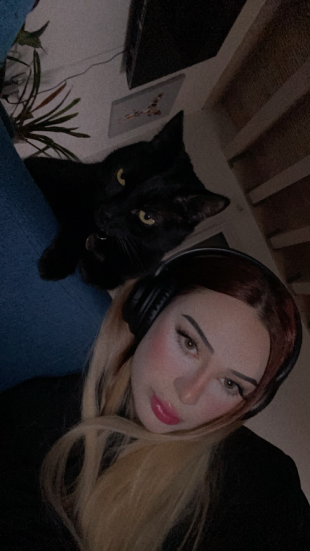 Photo de profil de Efixz