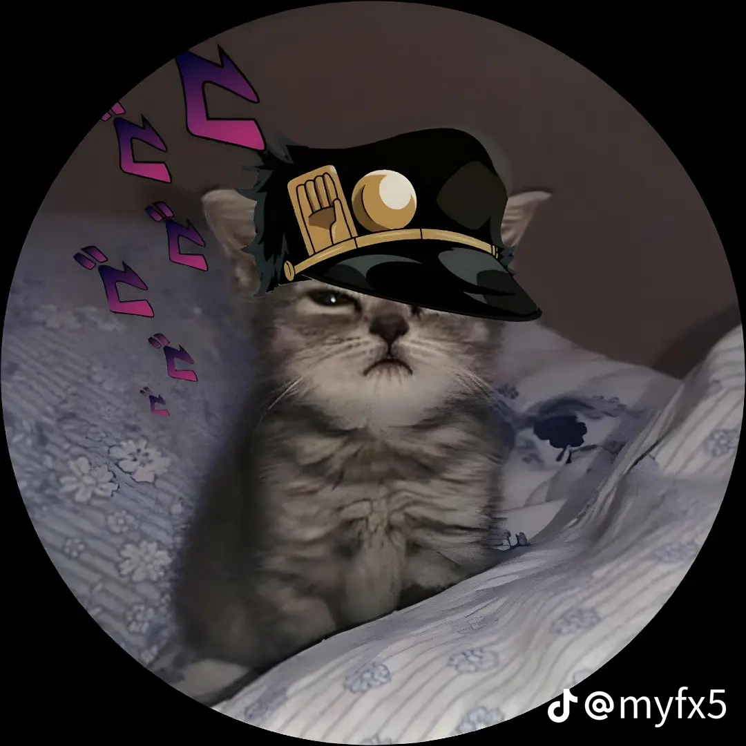 Photo de profil de FireSpinor