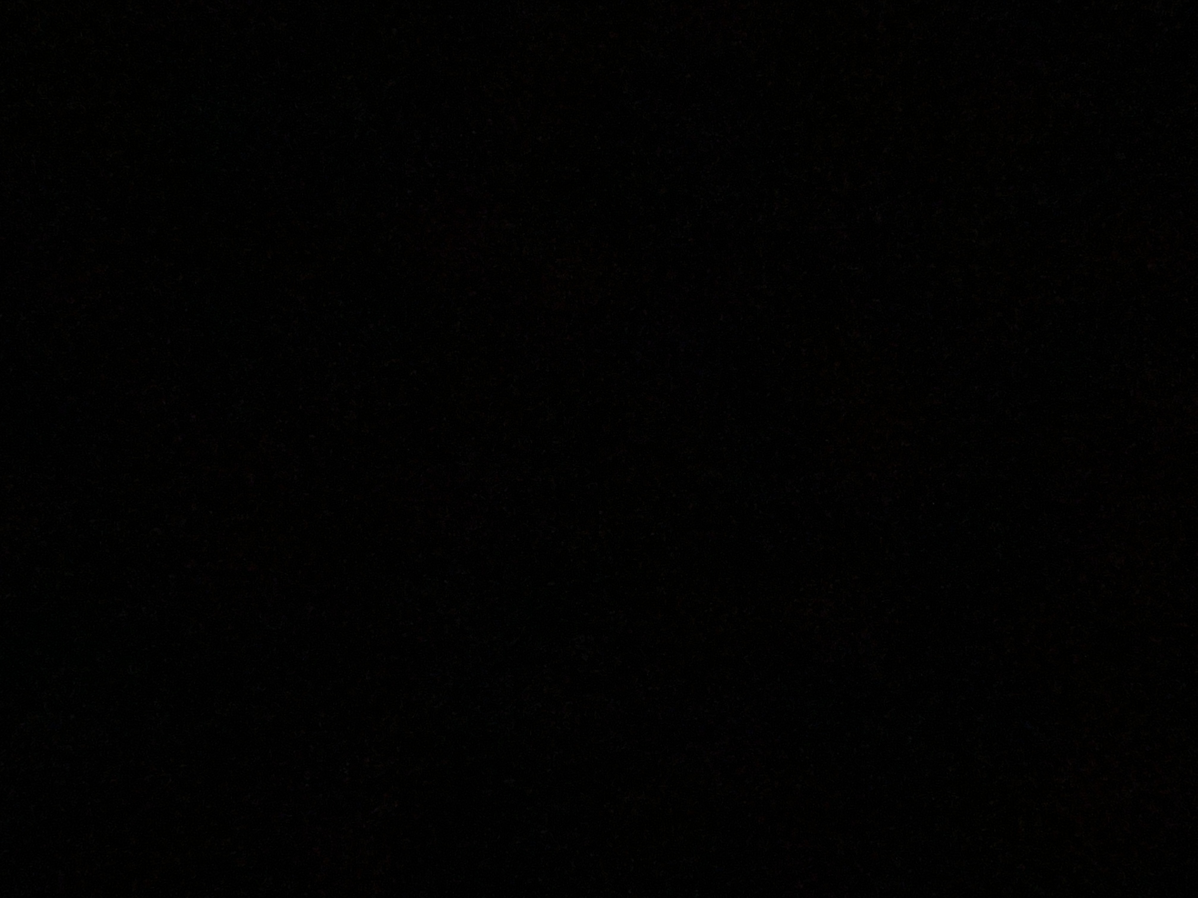 Photo de profil de Ha lolo