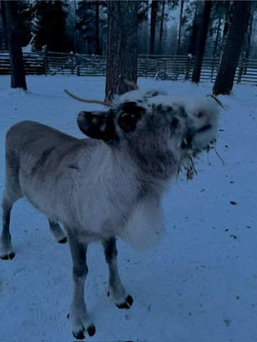 Photo de profil de Iliane78