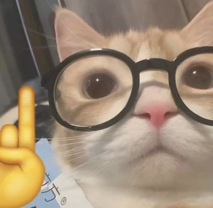 Photo de profil de jalox