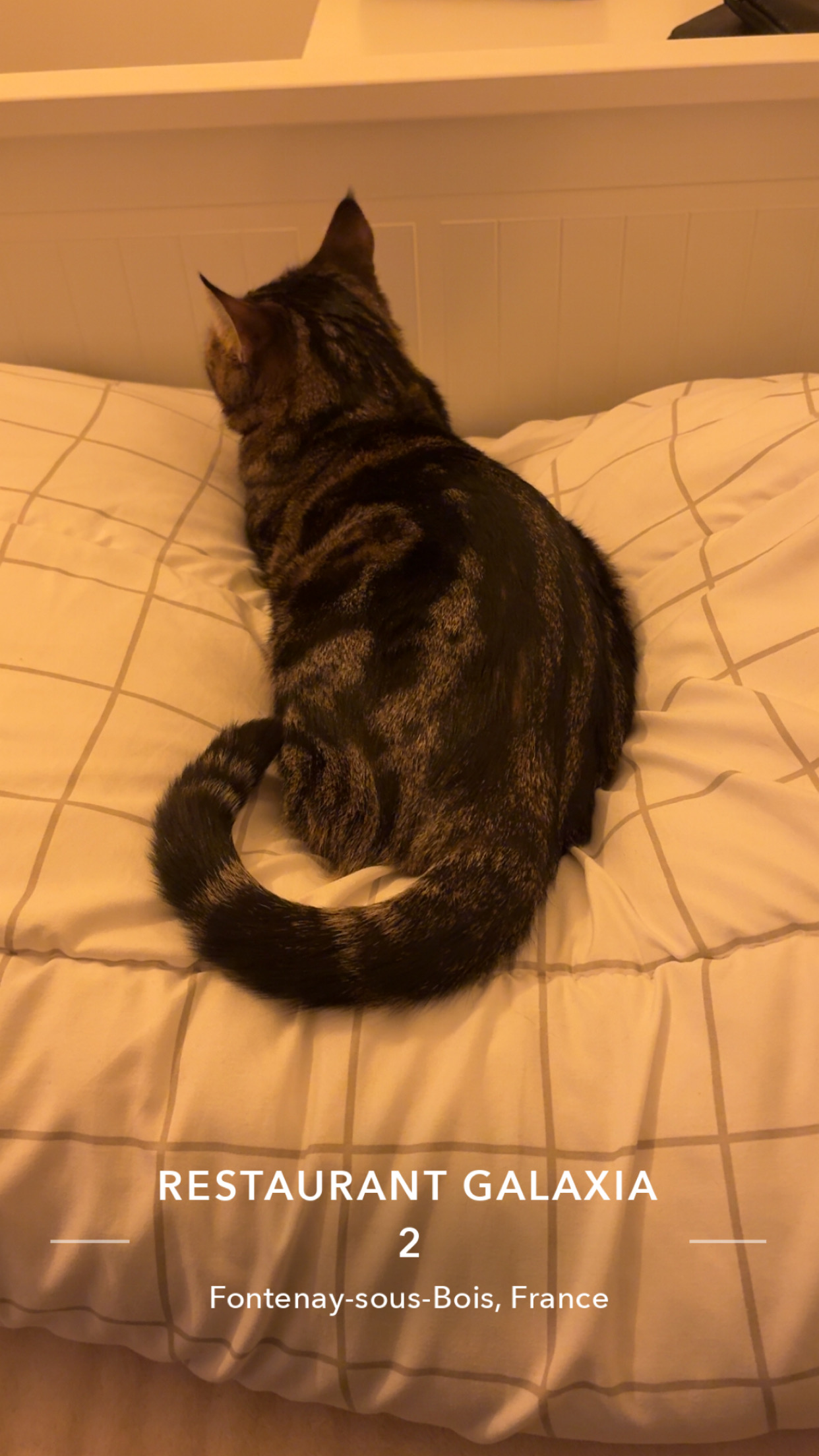 Photo de profil de Jerevedetoi999