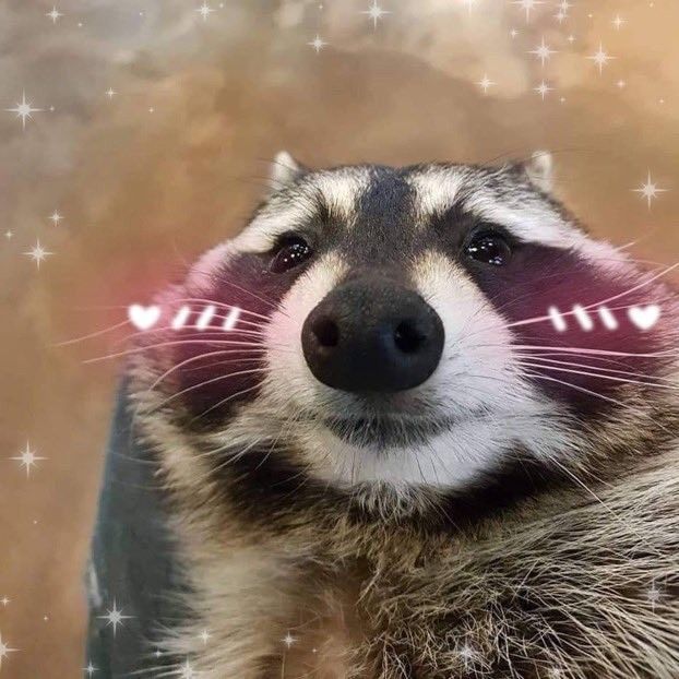 Photo de profil de le raton