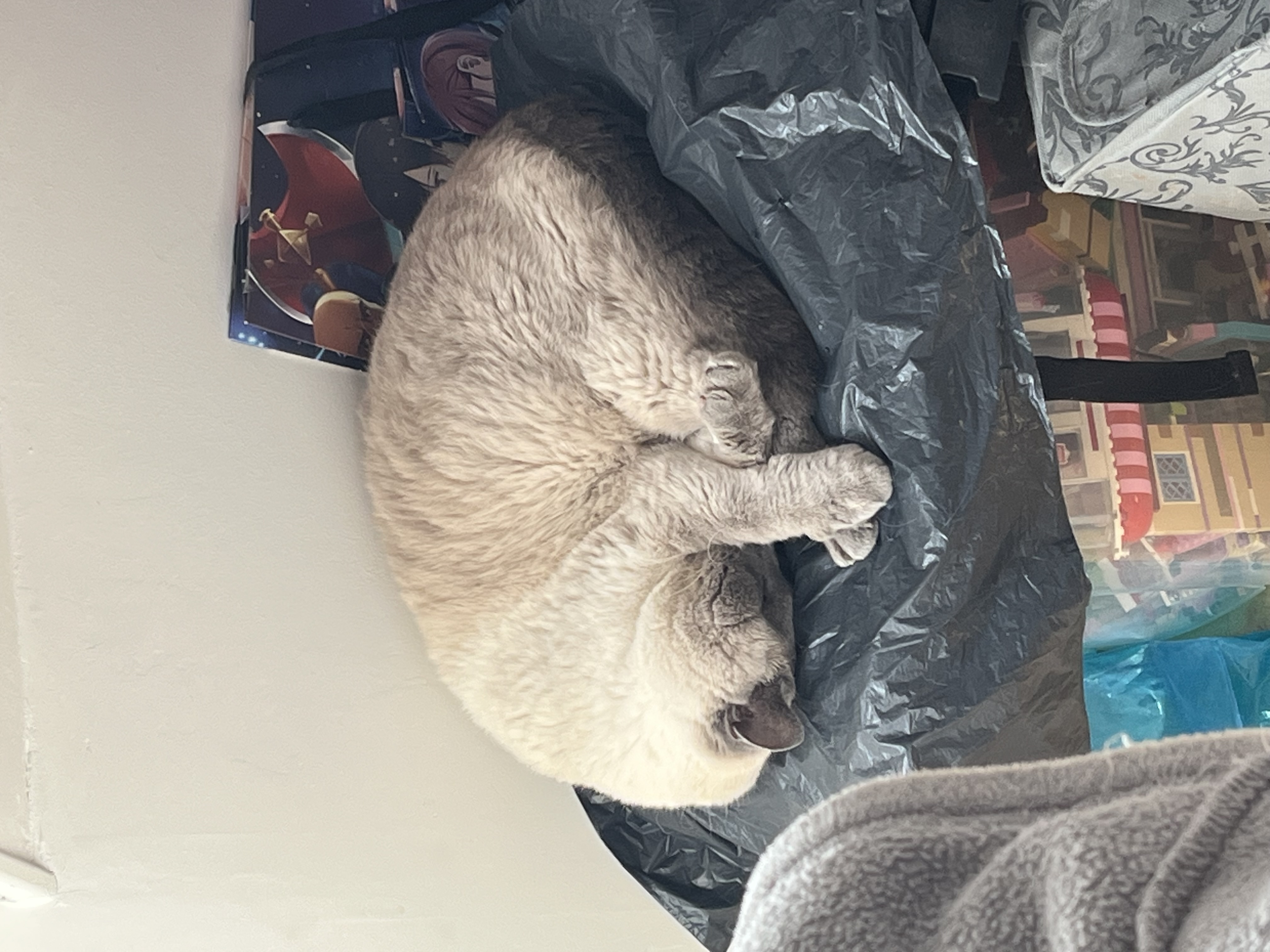 Photo de profil de Lucifer0406