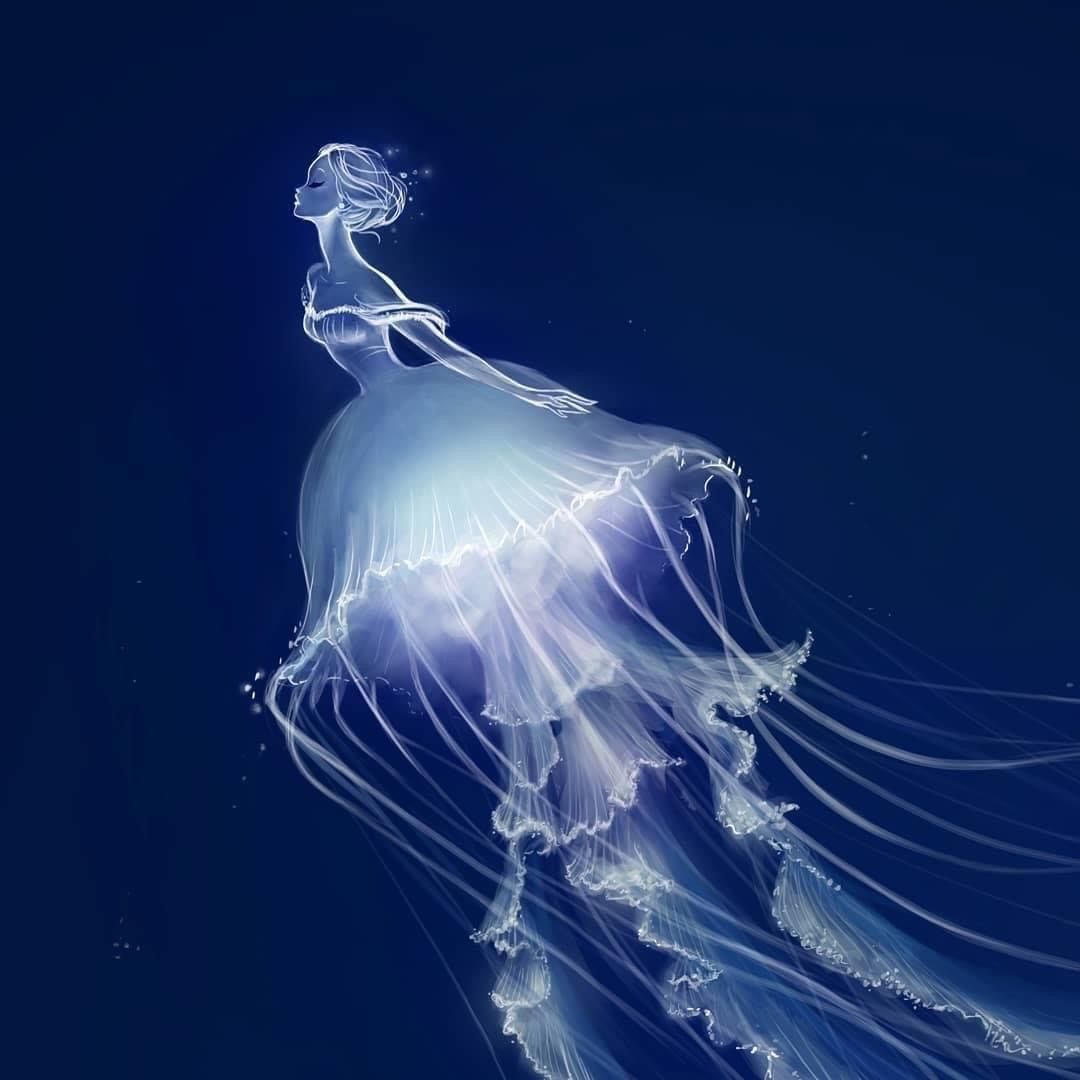 Photo de profil de Lunétoile