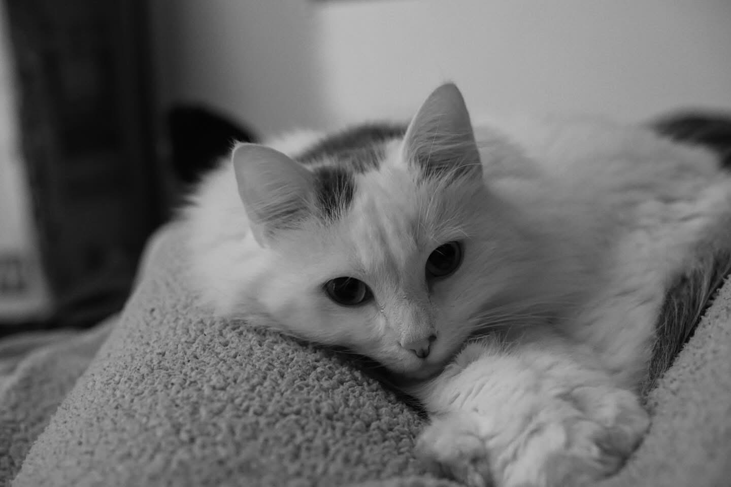 Photo de profil de Moumouuu