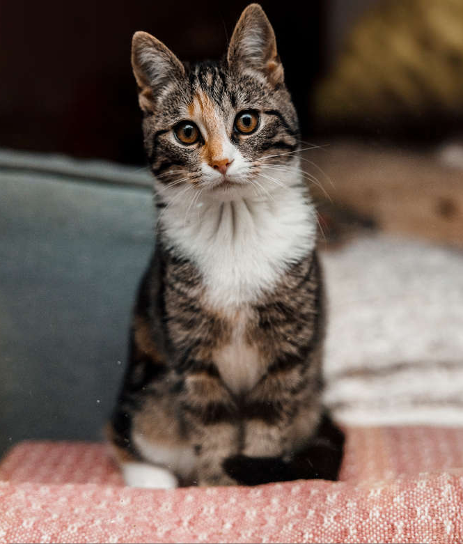 Photo de profil de Pm16