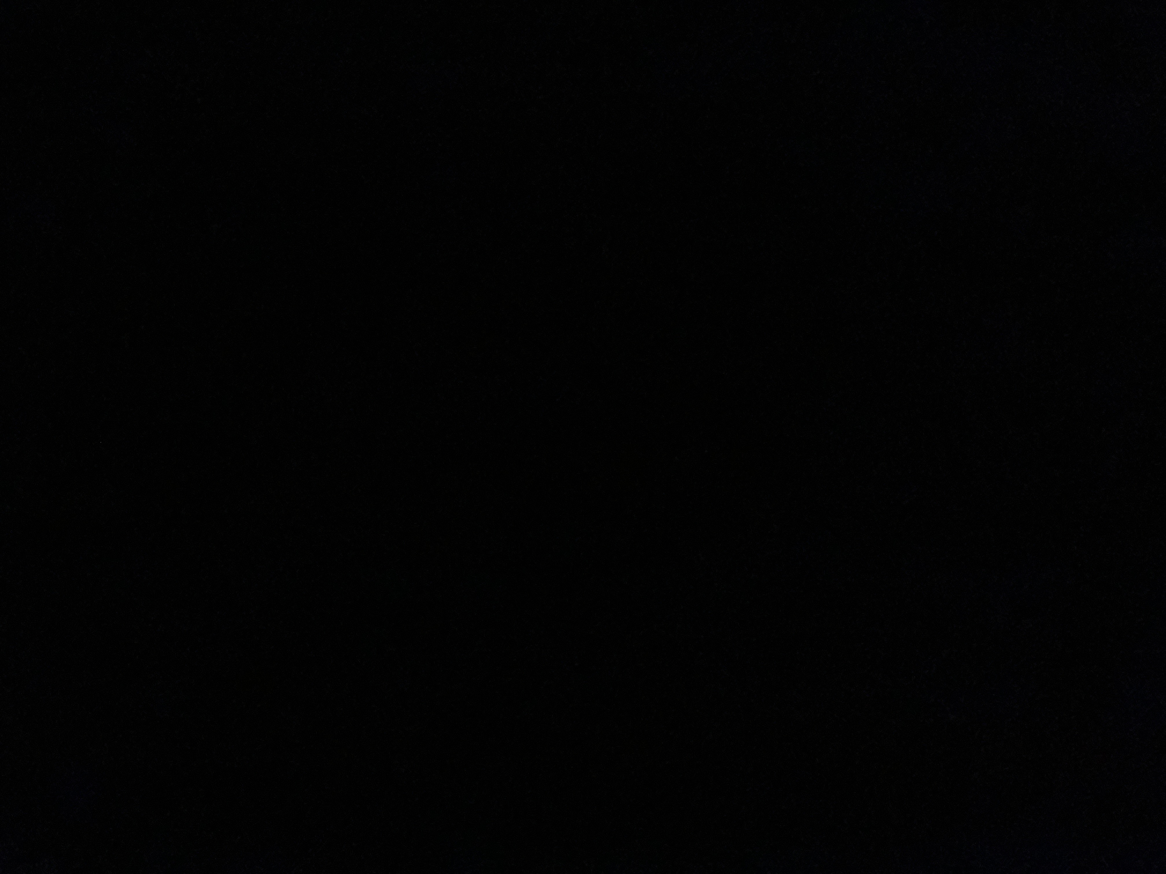 Photo de profil de spotbed