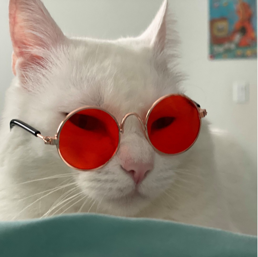 Photo de profil de Widix